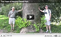 Cental Park Nature Video