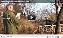 Cental Park Nature Video